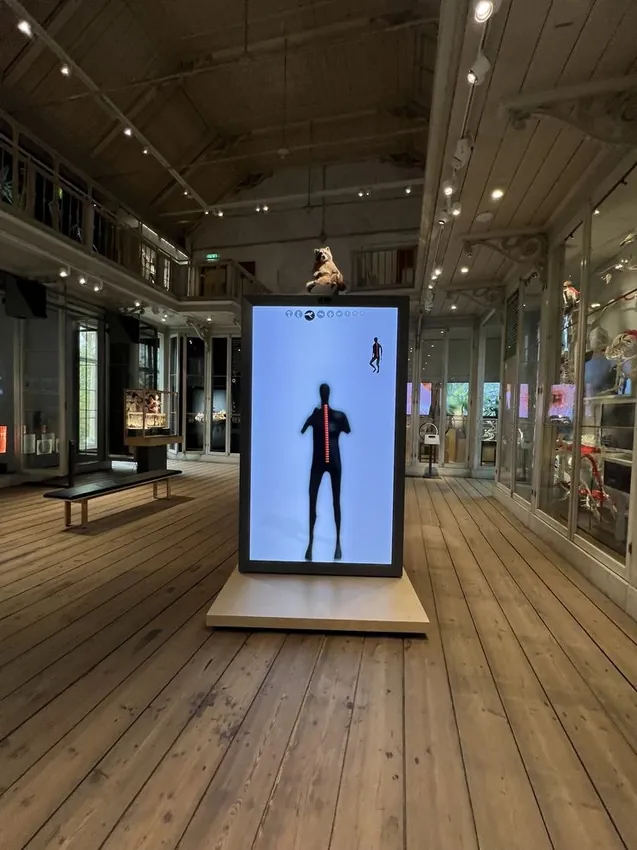 LCD & Kiosks