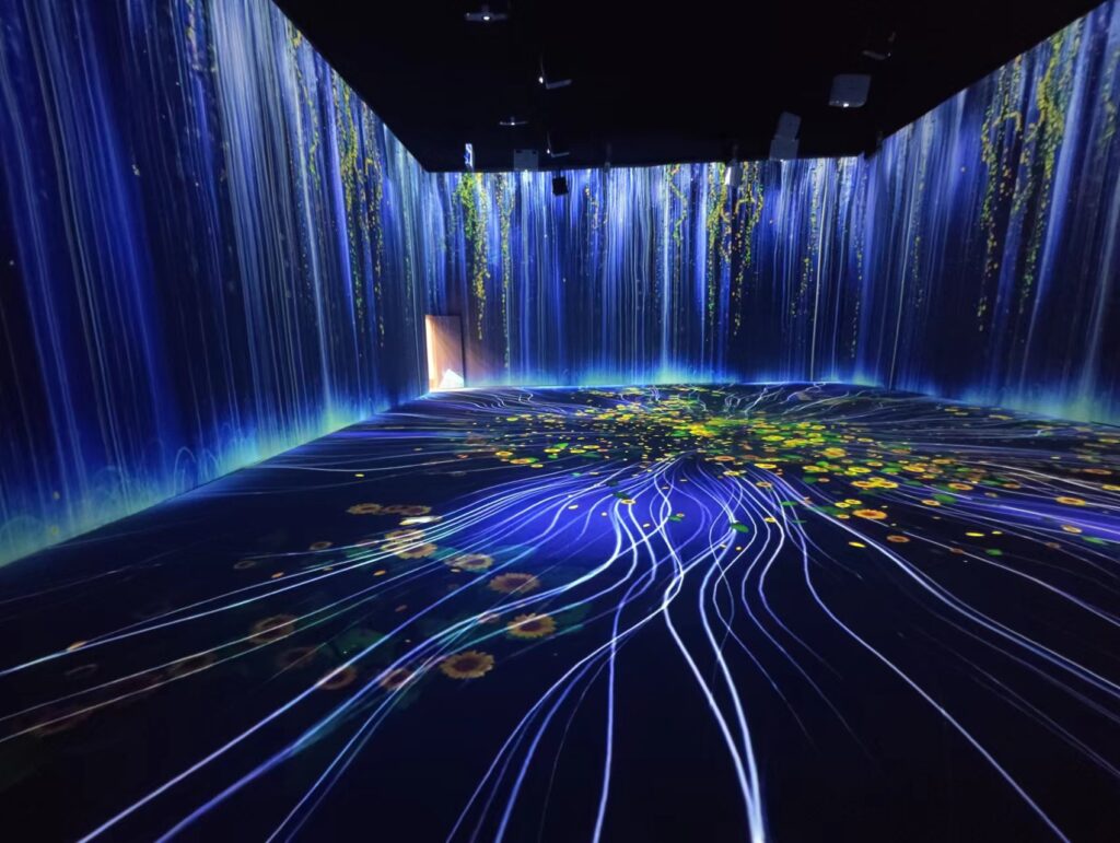 Immersive Projection Technology